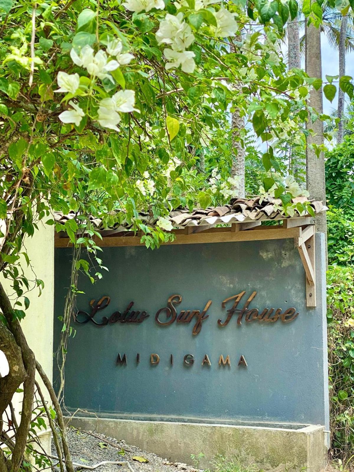Lotus Surf House Hotel Midigama Timur Bagian luar foto