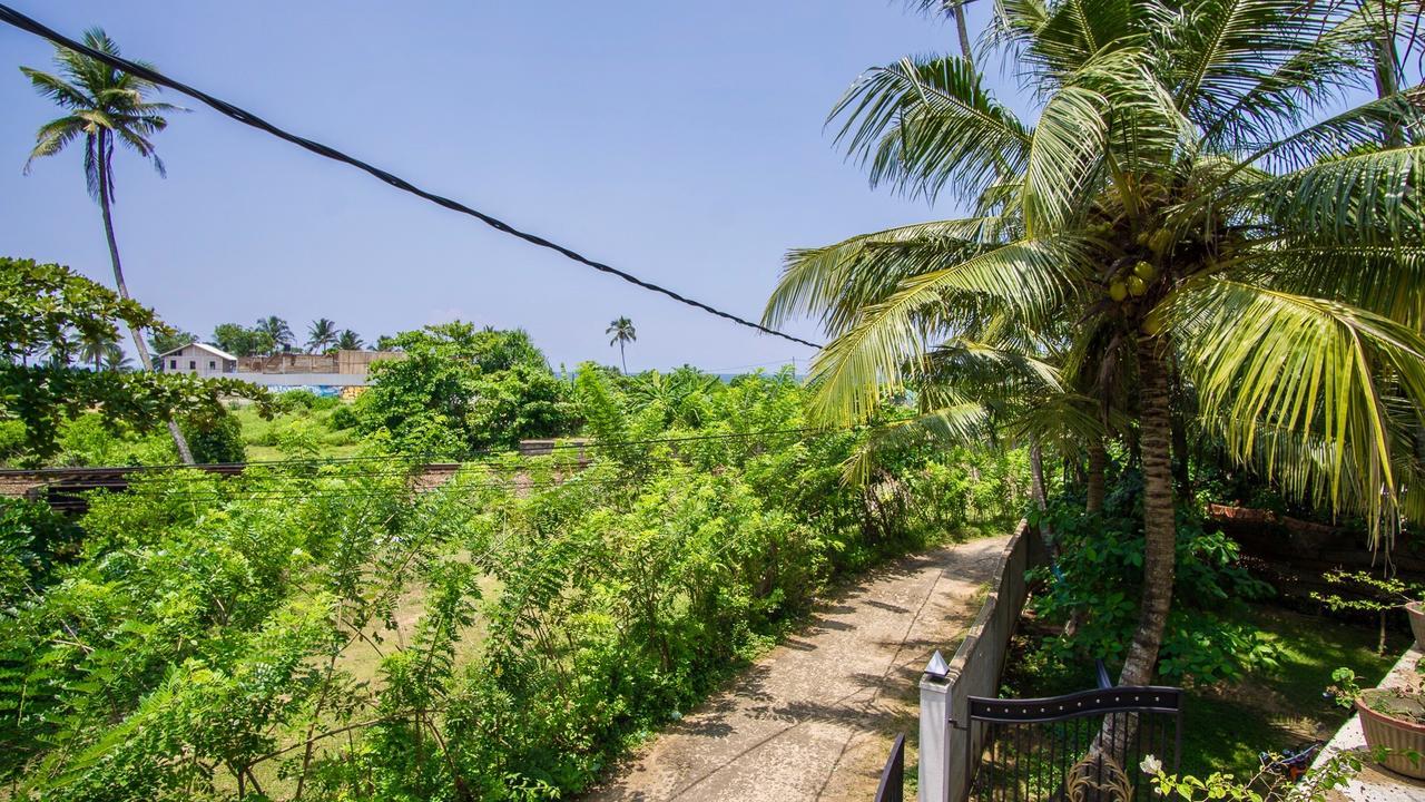 Lotus Surf House Hotel Midigama Timur Bagian luar foto